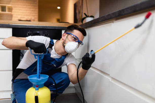 Professional Pest Control in Blanchester, OH