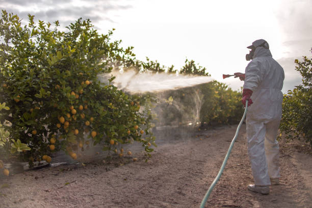 Best Exterminator Services  in Blanchester, OH