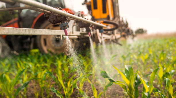 Pest Control Cost in Blanchester, OH